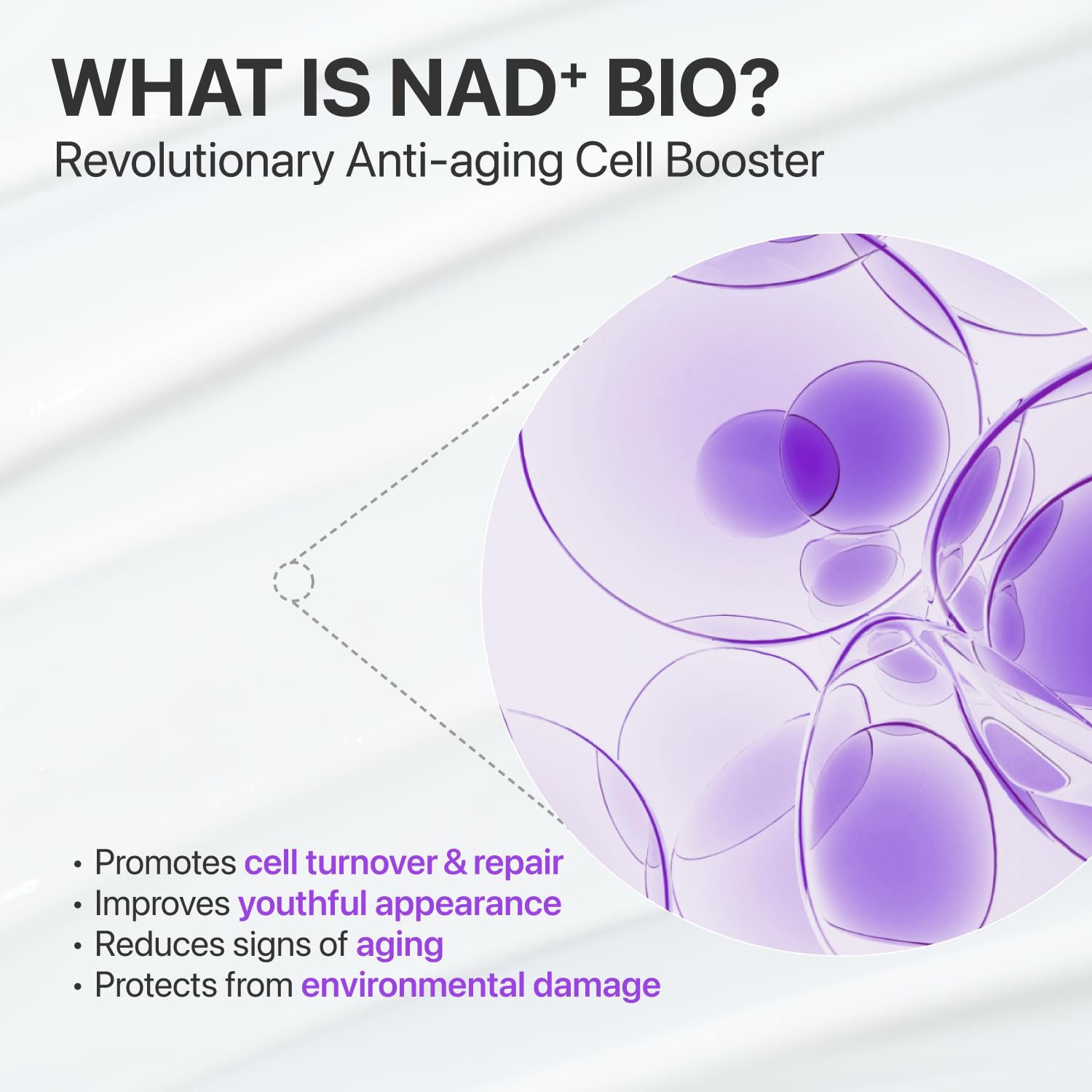 [Numbuzin] No.9 NAD Bio Lifting-sil Essence 1.69fl oz (50ml)