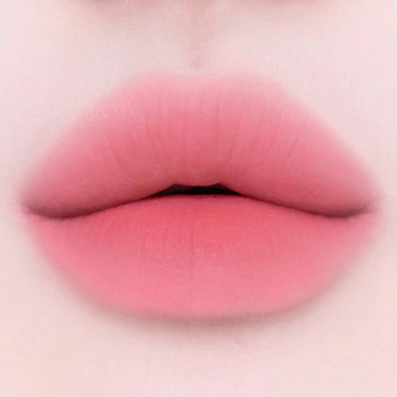 [Etude] Soft Fixing Tint (4g)